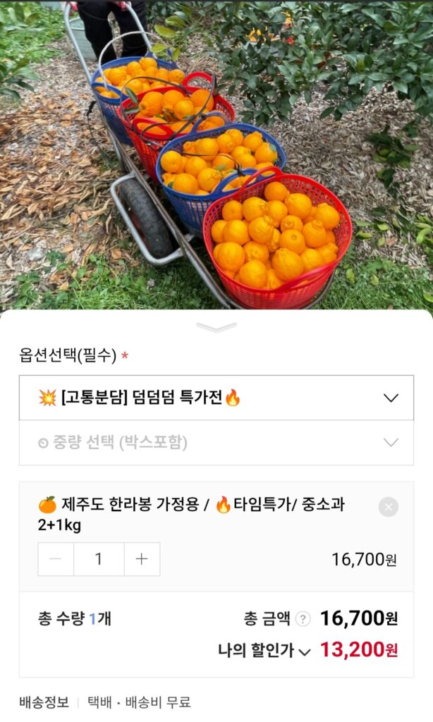 [Naver] Đảo Jeju Hallabong bộ phận vừa và nhỏ 3kg