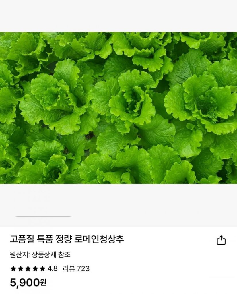 Xà lách romaine xanh 1kg