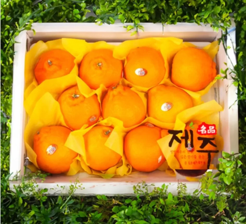 Bộ quà tặng Hallabong 3kg đặc biệt 12 món