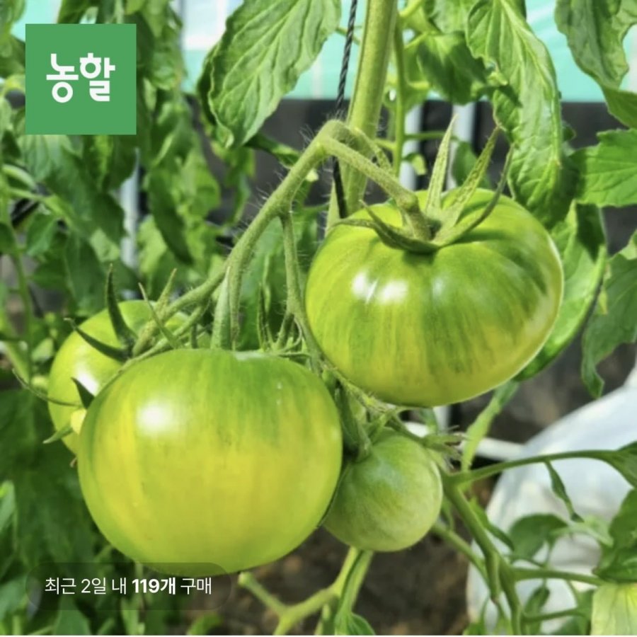 Cà Chua Mặn Daejeo 2.5kg 2S~S