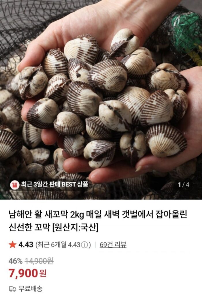 Sò sống South Coast 2kg