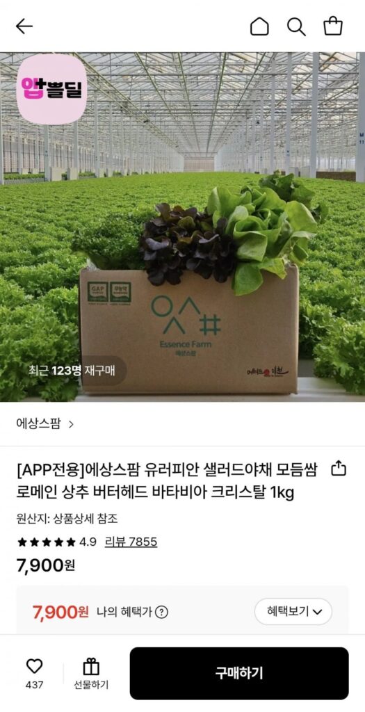 Salad Châu Âu Các Loại Ssam 1kg