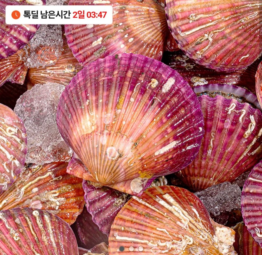 Sò điệp đỏ Tongyeong 3kg