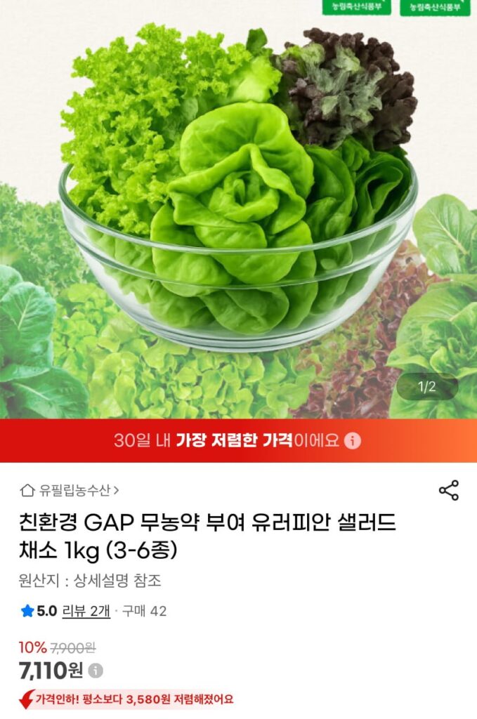 Rau salad kiểu Âu 1kg