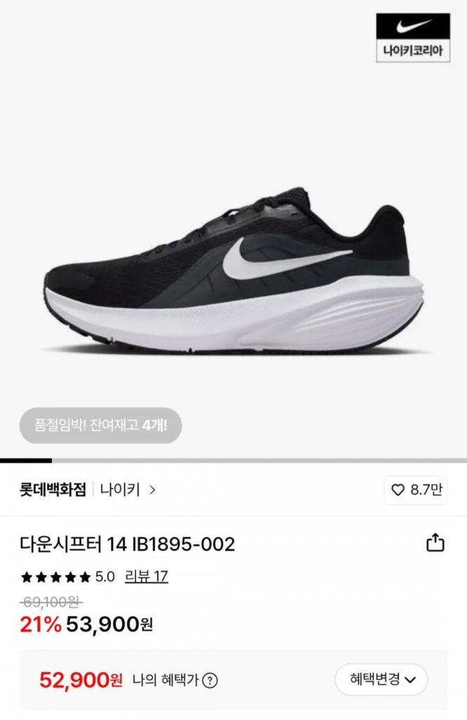 Giày chạy bộ Nike Downshifter