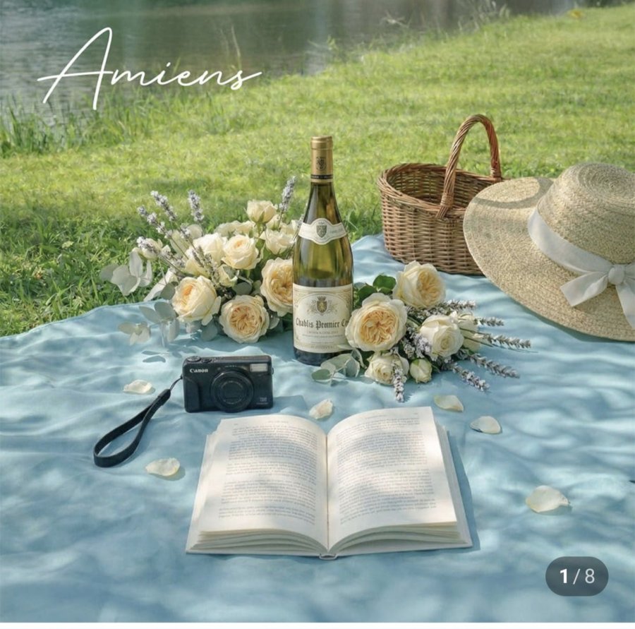 Thảm dã ngoại chống nước Amiens Thảm cắm trại cảm xúc