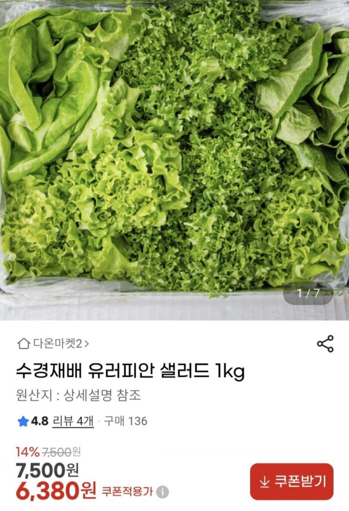 Salad Âu 1kg
