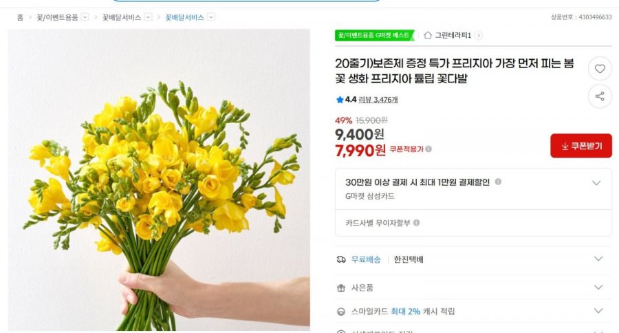 Quà bảo quản giá đặc biệt lan Nam Phi, bông hoa mùa xuân đầu tiên nở, bó hoa tulip lan Nam Phi