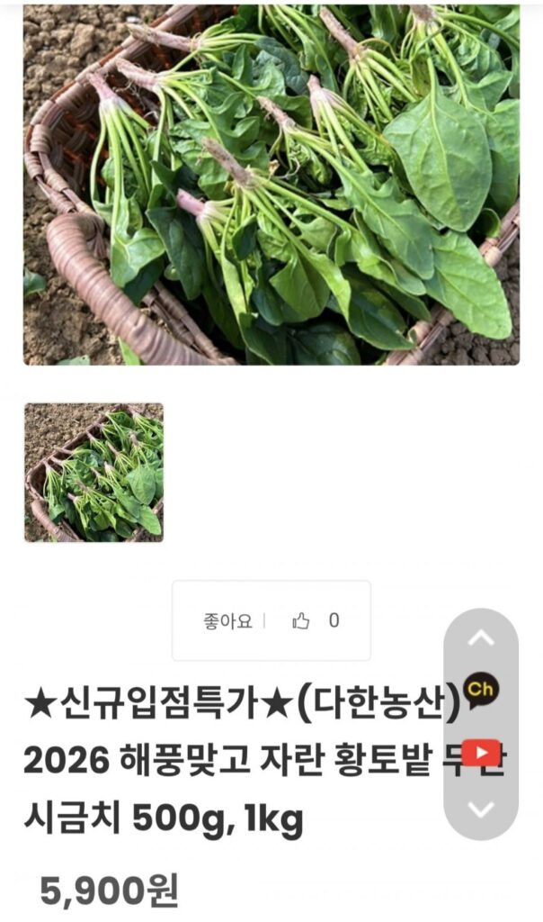 Rau muống 26 tuổi 1kg