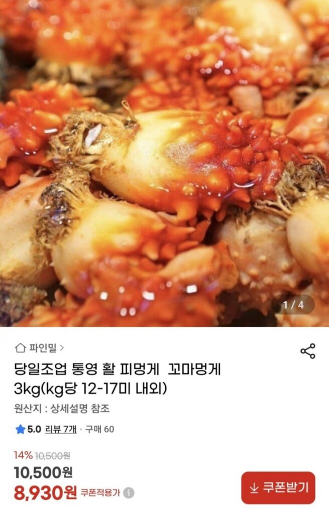 Mực biển sống Tongyeong, mực biển nhỏ, khoảng 12-17 con/3kg kg