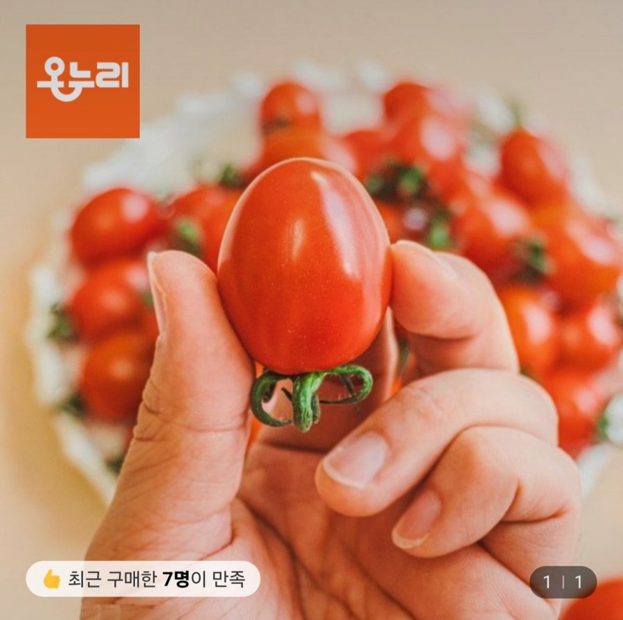 Cà chua bi táo tàu 5kg mini 4-5