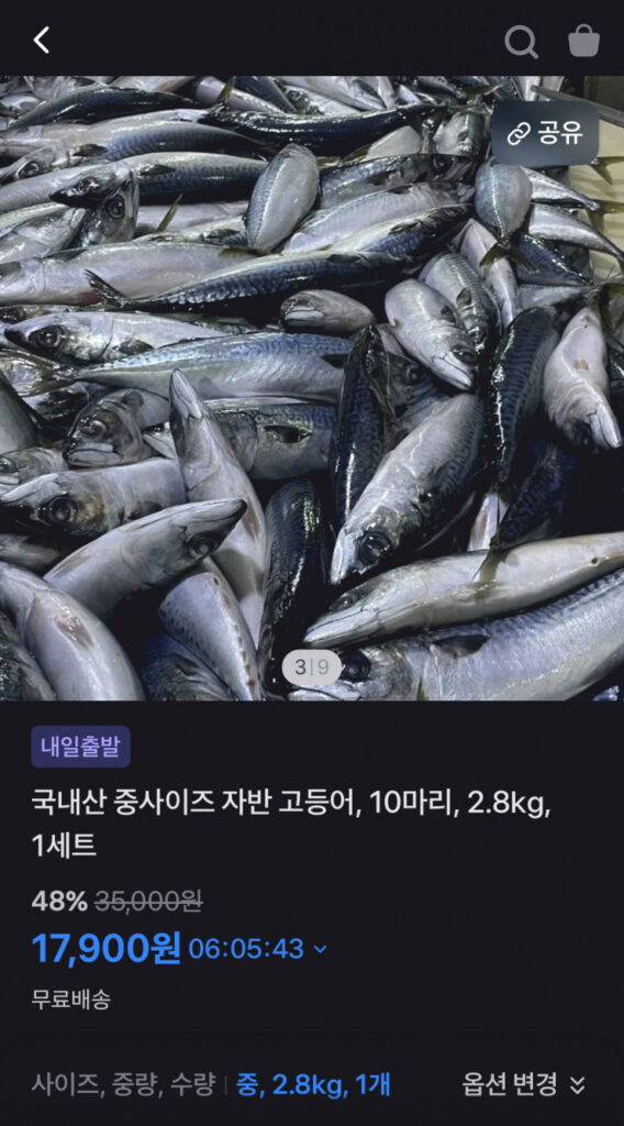 [Loại khác] 10 con cá thu cỡ vừa nội địa, 2,8kg