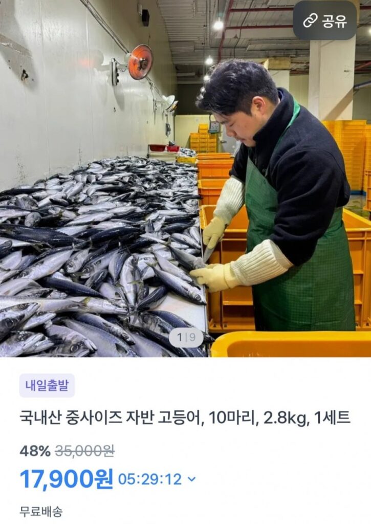 10 miếng cá thu nội 2,8kg