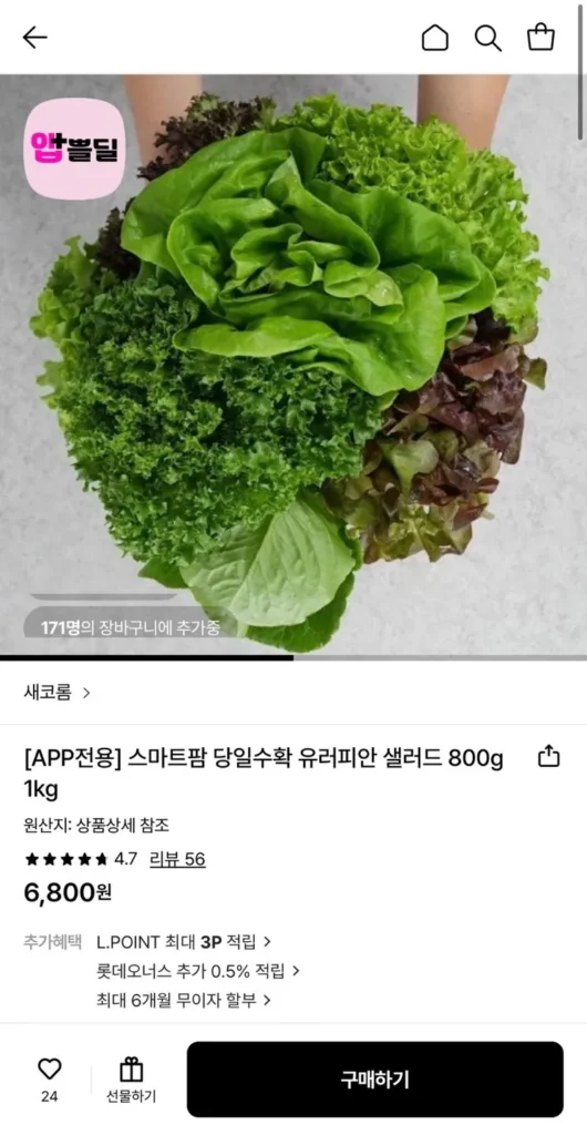 Smart Farm Thu hoạch trong ngày Salad Châu Âu 1kg