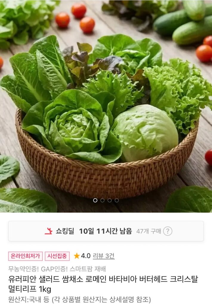 Salad Âu 3~5 loại ngẫu nhiên 1kg