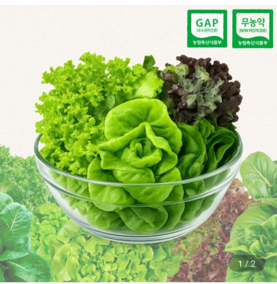 Salad rau củ kiểu Âu 800g