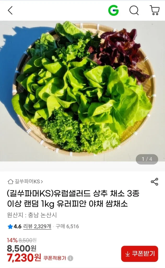 Salad rau xà lách kiểu Âu ngẫu nhiên 1kg