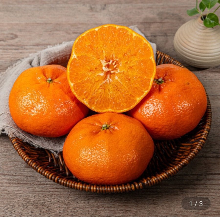 Nonghyup được chứng nhận hàm lượng đường cao Cheonhyehyang 6kg