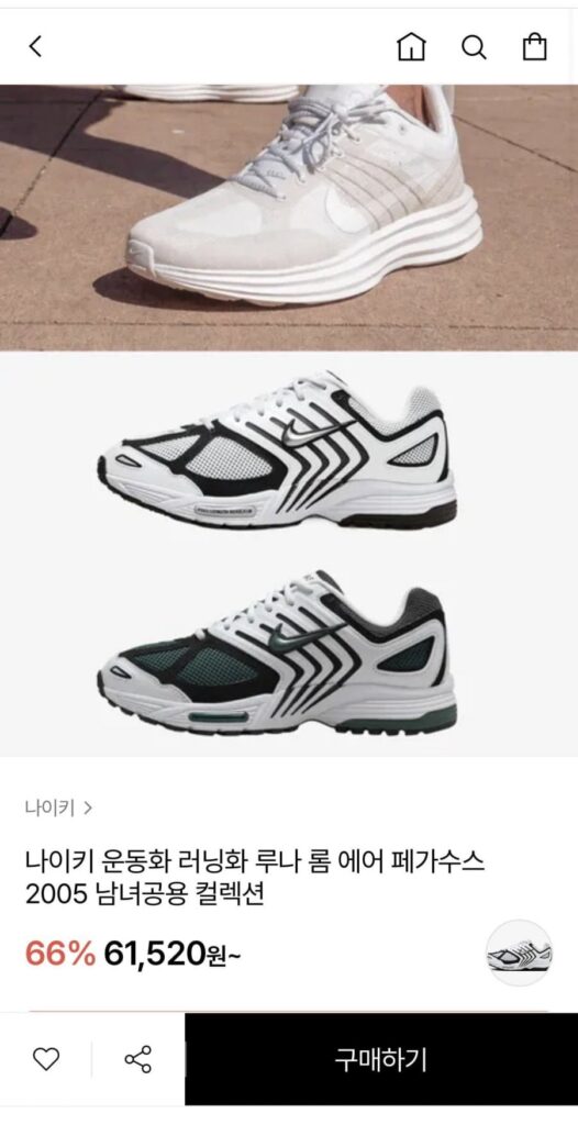 Giày Chạy Bộ Nike Air Pegasus 2005