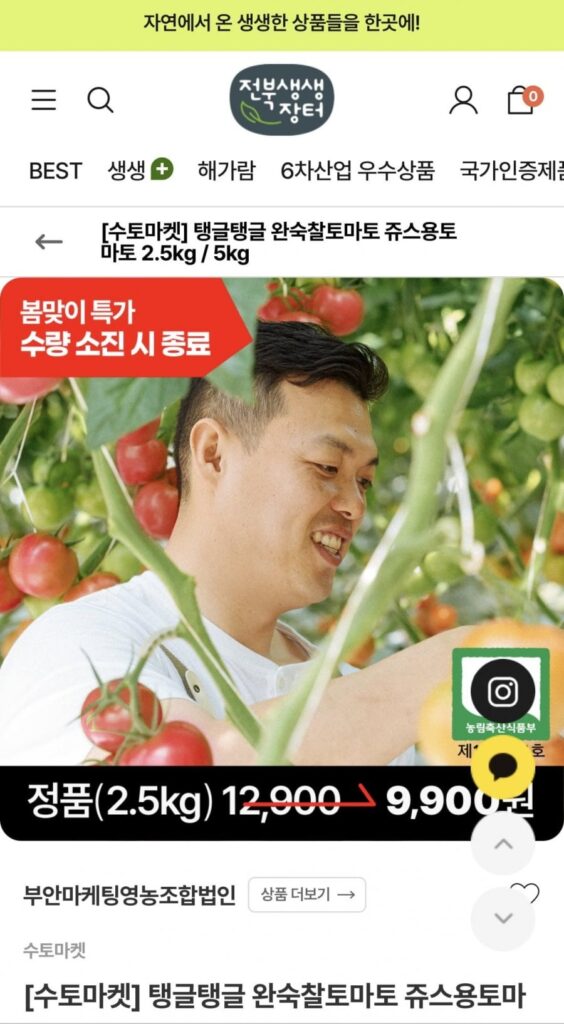 2,5kg cà chua nếp chín ép lấy nước