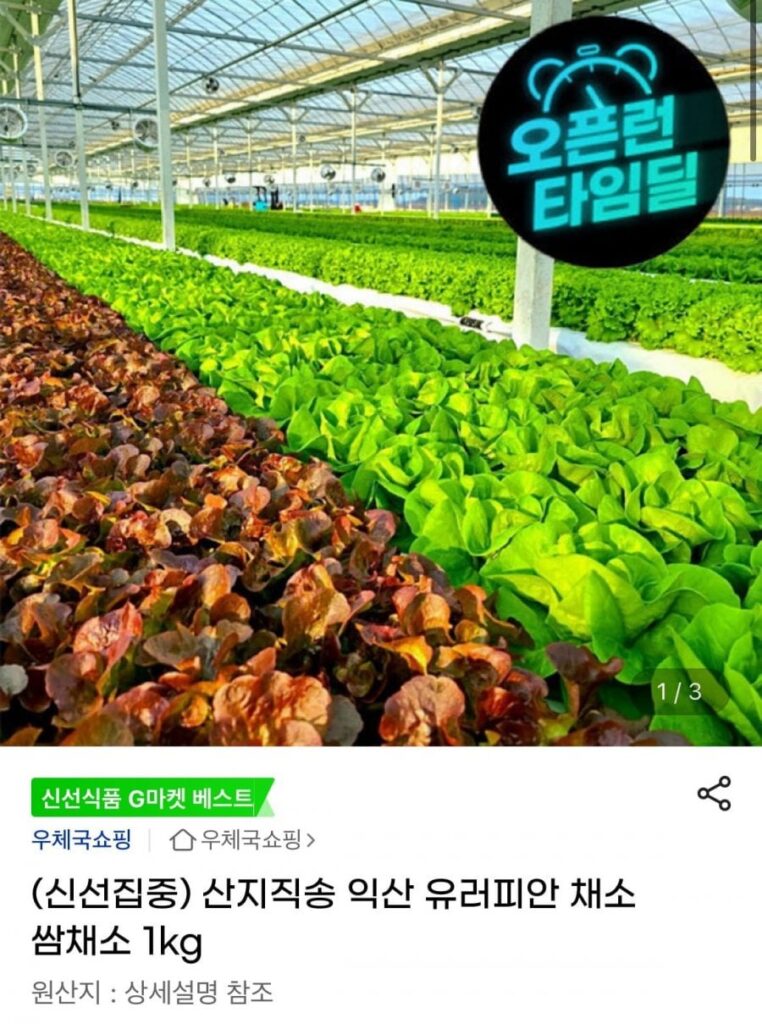 Trực tiếp từ nhà sản xuất, Rau Châu Âu Iksan, Rau Ssam 1kg