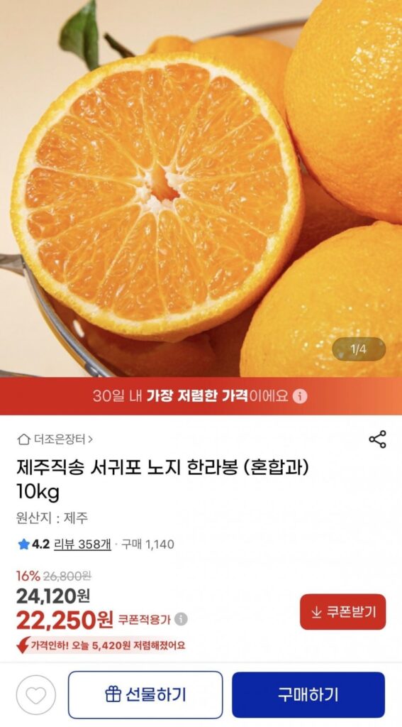 Jeju Giao Hàng Trực Tiếp Seogwipo Noji Hallabong 10kg
