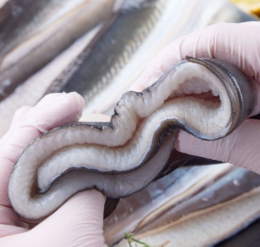 1kg lươn nước ngọt Japonica nội địa, 700g sau khi làm sạch