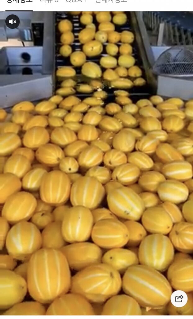 Dưa Seongju Dưa Mật Ong Xấu Dùng Tại Nhà 10kg