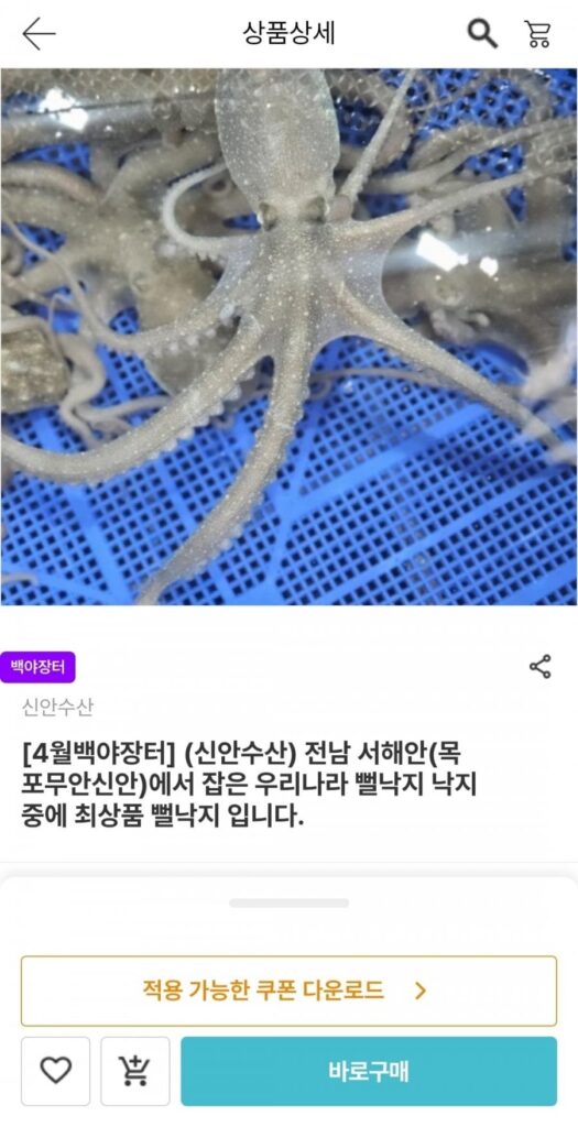 5 con bạch tuộc từ Mokpo Muan