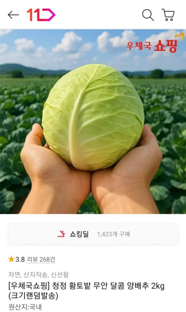 Ruộng đất đỏ sạch Muan bắp cải 2kg