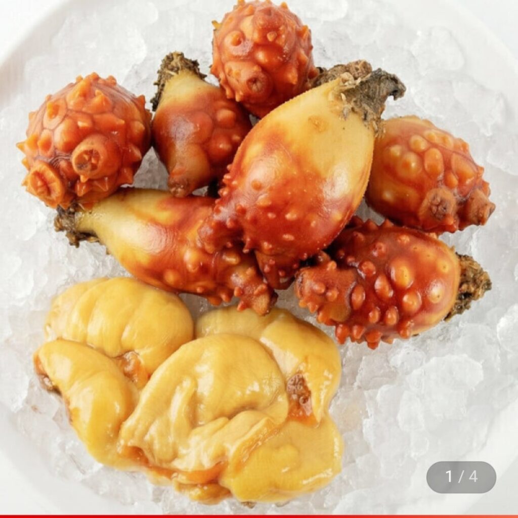 [G Market] Mực biển khô Tongyeong nội địa 500g (9.520 KRW / miễn phí vận chuyển)