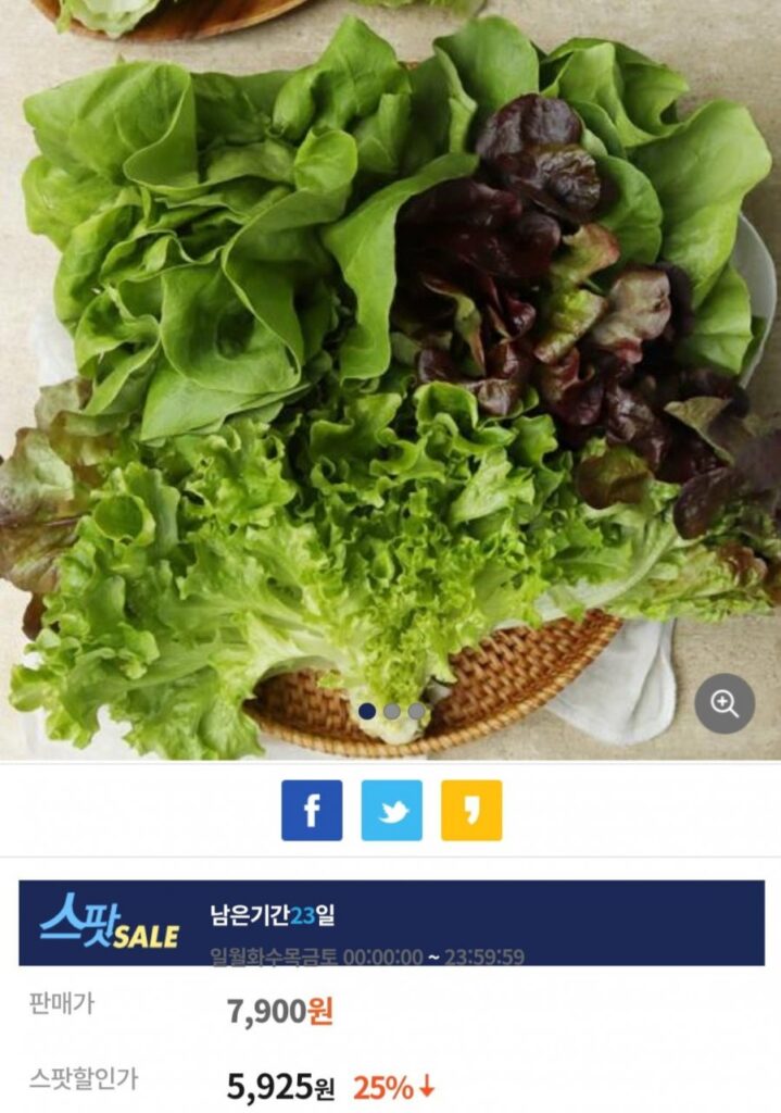 1 kg rau ssam làm salad kiểu Âu, 5-6 loại