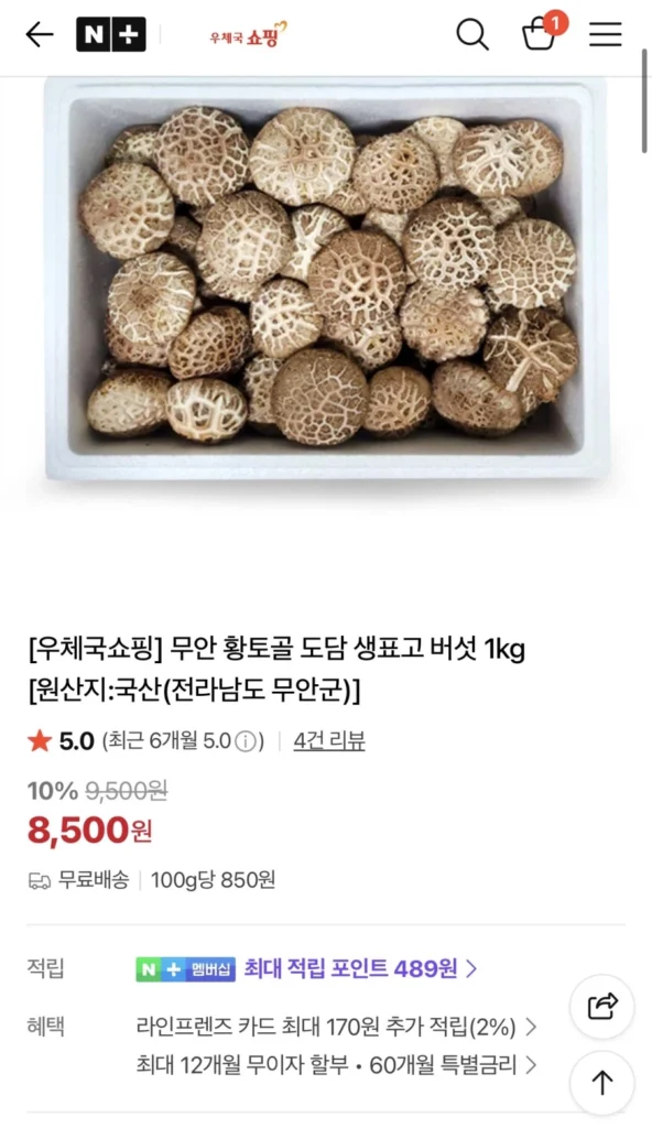 Nấm Shiitake tươi Muan Hwangtogol 1kg