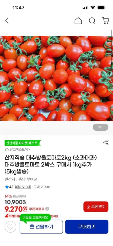 2kg cà chua bi táo tàu được giao trực tiếp từ trang trại