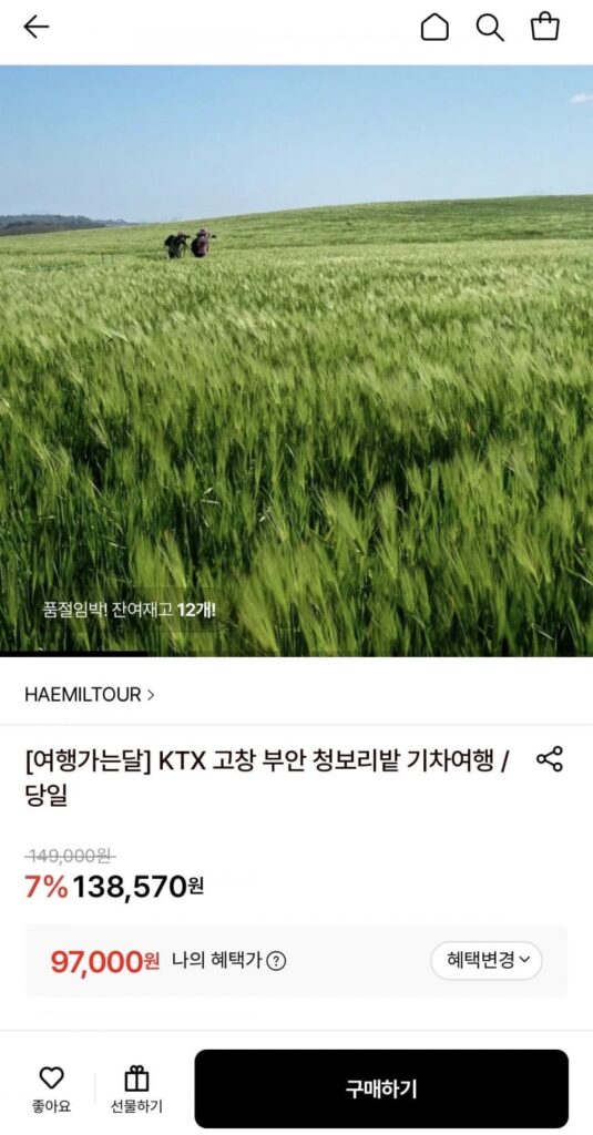 Chuyến đi trong ngày đến cánh đồng lúa mạch xanh KTX Gochang Buan bằng tàu hỏa