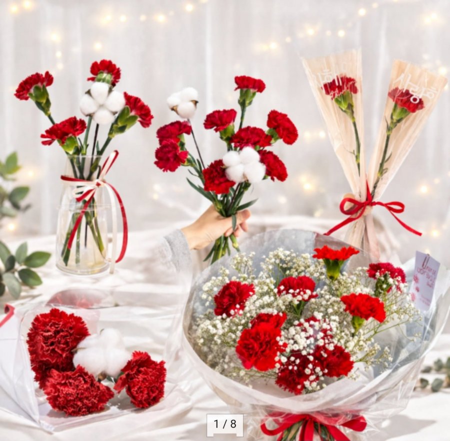 4 bông hoa cẩm chướng tươi + 1 bông hoa bông