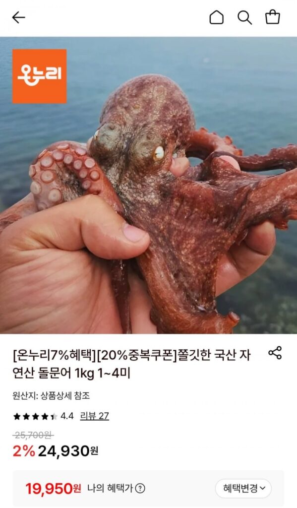 1kg bạch tuộc đá rừng nội địa