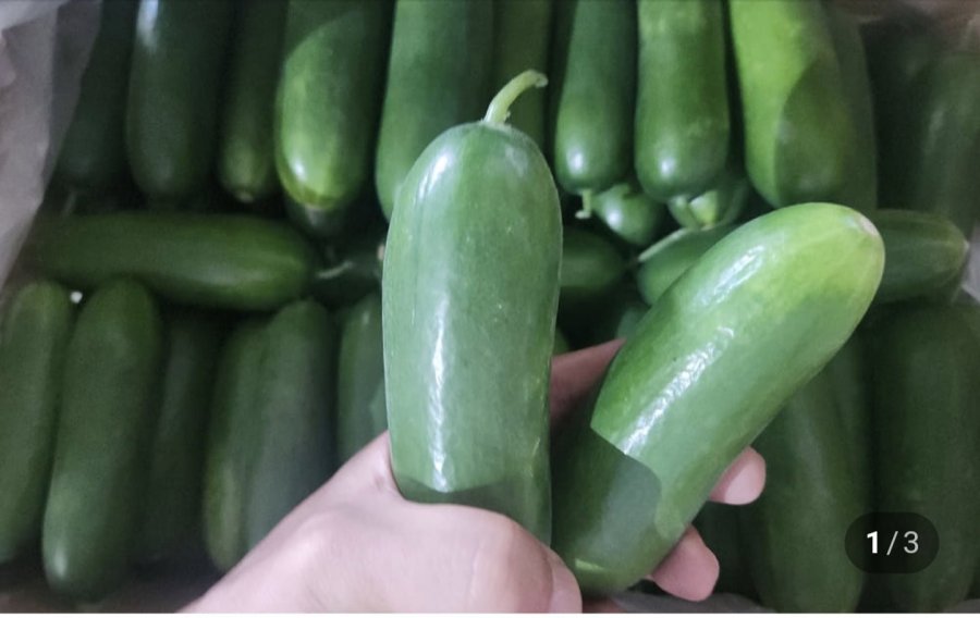 Dưa chuột mini 2kg