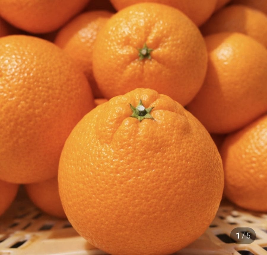 Thịt bò Hallabong 2,5kg và dùng trong gia đình