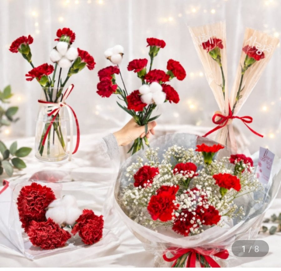 4 bông hoa cẩm chướng tươi + 1 bông hoa bông