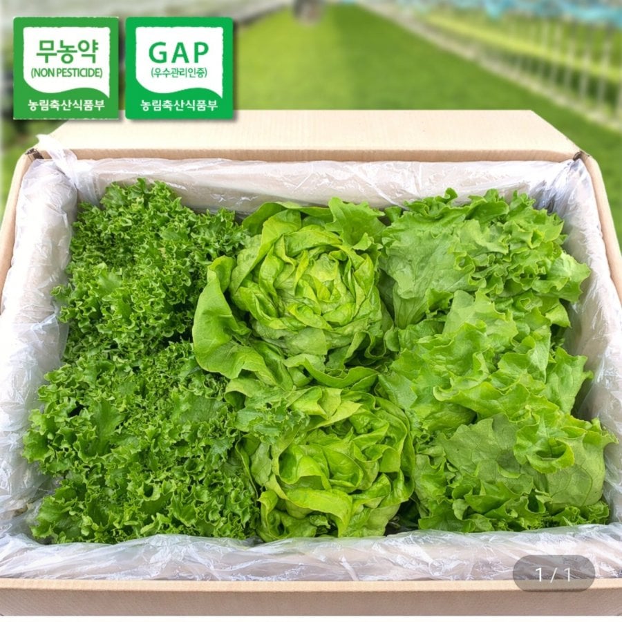 Salad Châu Âu được chứng nhận Gap 800g