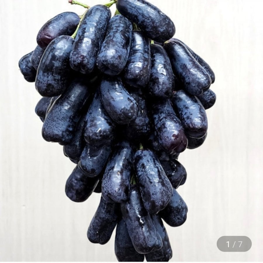 2 kg nho sapphire đen