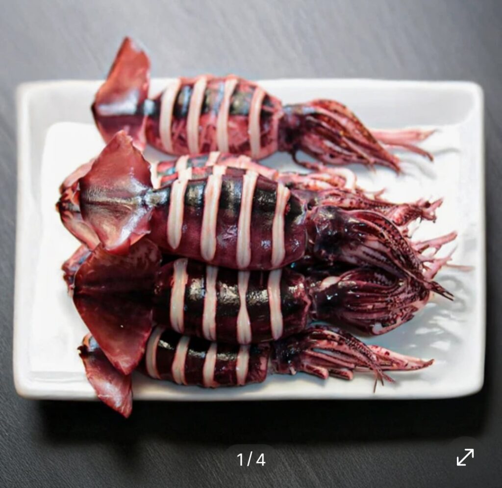 [Khác] 1kg mực nguyên con để hấp (10.920 KRW / miễn phí vận chuyển)