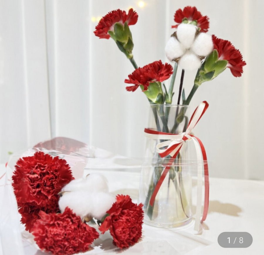 4 bông hoa cẩm chướng tươi (gồm 1 bông hoa bông)