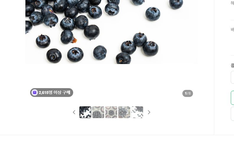 Việt quất tươi 100g 5 gói