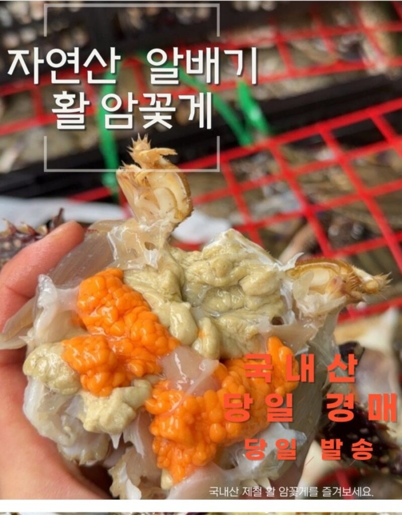 제철 활 암꽃게 1kg 3-5미