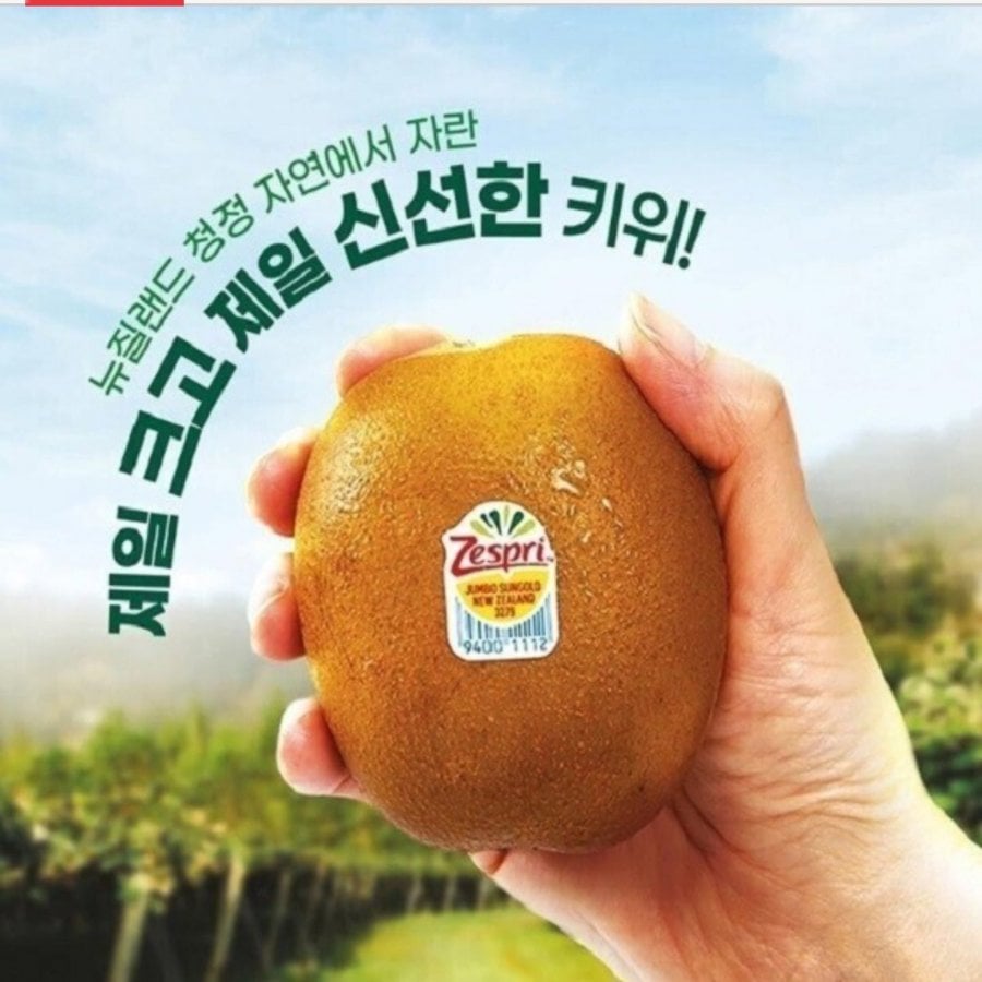Zespri Gold Kiwi Jumbo 20 miếng 3,1kg