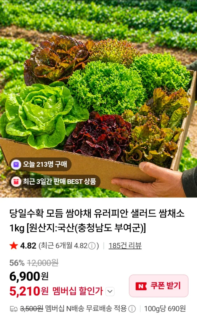 Salad Châu Âu Rau Ssam 1kg