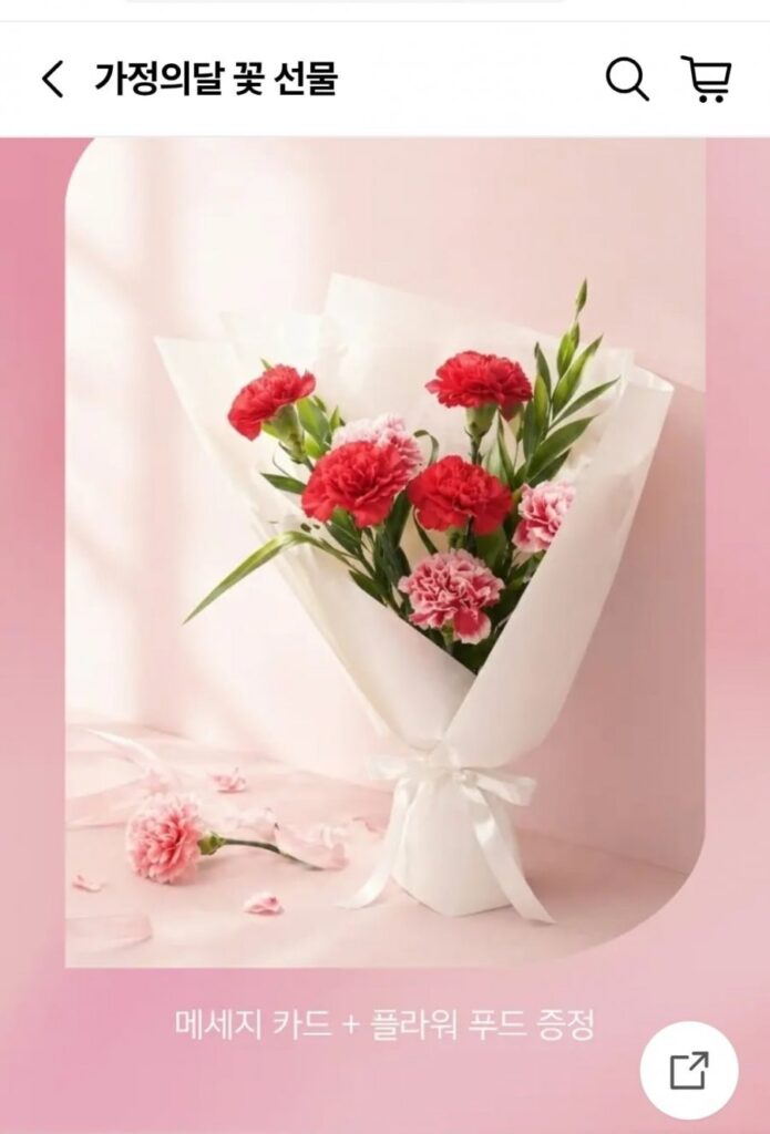 Bộ chậu hoa cẩm chướng giao hoa 2 chiếc