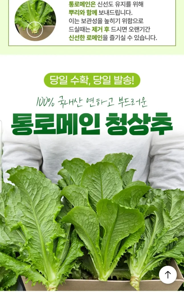 Thu hoạch cùng ngày, xà lách xanh Gongdalmain, 2kg